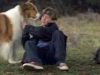 Lassie