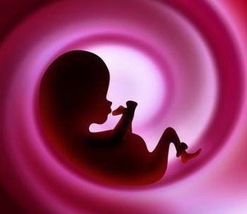 Sarcina pe saptamani. Afla ce se intampla cu gravida si bebelusul in fiecare saptamana de sarcina