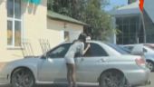 Cea mai tare faza cu o pitzipoanca in fusta scurta. VIDEO