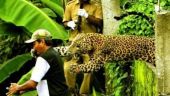 Secunda de dinaintea  dezastrului ! :) Imagini incredibile pe care n-apuci sa le vezi cu ochiul liber! FOTO
