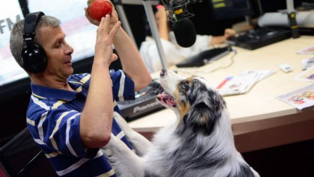 Cei trei catei castigatori la  Romanii au talent  au  cantat  in premiera la Alarma ProFM pe piesa bdquo;Who let the dogs out ! VIDEO