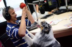 Cei trei catei castigatori la  Romanii au talent  au  cantat  in premiera la Alarma ProFM pe piesa bdquo;Who let the dogs out ! VIDEO