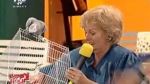 Monica Tatoiu: România este plină de papagali