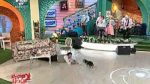 Lagerfeld îi arată lui Măruţă ce poate