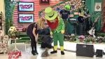 Căţelul Andreei Bănică, speriat de mascota Shannon Band