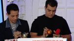 Vedetele semneaza globurile pentru bradul cel fitos!