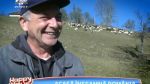 Nicolae Furdui Iancu isi prezinta ferma de la Poiana Sohodol