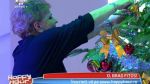 Ionela Prodan semneaza globul pentru bradul cel fitos