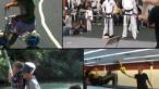 Top 10 cele mai amuzante momente din 2010! VIDEO