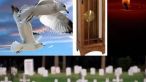 Superstitii ciudate, nebunesti, infricosatoare! Crezi in ele?