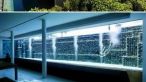 Casa verde, un proiect indraznet devenit realitate! GALERIE FOTO