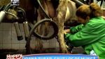 Ioana Tufar, incantata de munca la ferma de animale