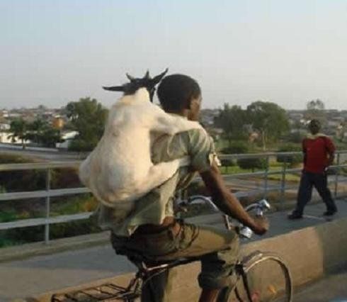 http://assets.sport.ro/assets/protv/2011/09/22/image_galleries/19009/asta-este-cea-mai-haioasa-galerie-foto-vezi-26-de-poze-super-tari_12.jpg