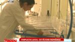 Tripletii Luciu, cetatenii Romaniei