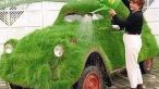 Au vrut sa fie inconjurati de iarba verde.Uite cum si-au decorat masinile!