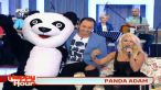 Asculta AICI noua piesa a Andei Adam -  Panda Madam !