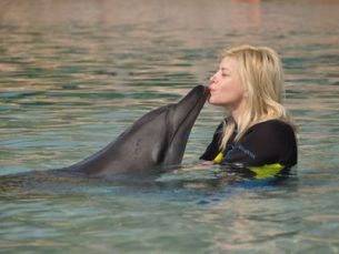 Am sarutat un delfin si mi-a placut... Experientele UNICE traite de Loredana in Emirate