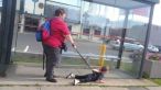 
	N-o sa-ti vina sa crezi ce fac oamenii astia in public! Incalca tocmai cele mai elementare reguli de bun simt: FOTO
