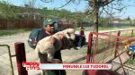 Tudorel Popa ajuta copiii sarmani