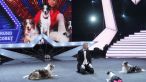 
	Andra, despre Bruno Icobet. Ce spune membra juriului de la "Romanii au talent" despre marele castigator de anul acesta
