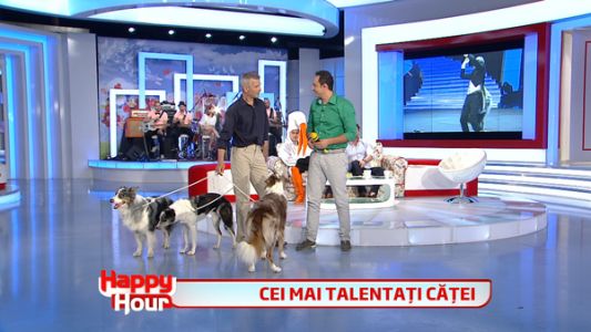 Cei mai talentati catei | Happy Hour