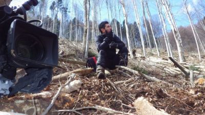 3 ha/ ora ndash; viteza cu care au disparut padurile de la Revolutie incoace. Duminica, la  Romania, te iubesc