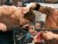 Show-total: Batista, Cena, JBL si Kane in acelasi ring!