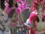 Fotbal jucat de travestiti: SUPER&nbsp;VIDEO&nbsp;:)