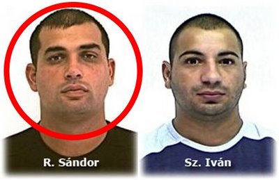 OFICIAL!&nbsp;Raffael Sandor este omul care l-a omorat pe Marian Cozma!