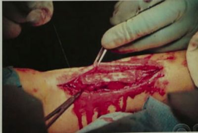 Free red alert game windows xp red alert 2 free full game 1394 drivers windows xp