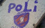 Azi in Timisoara, maine in toata tara! Fanii lui Poli tin cu Serbia: vezi de ce