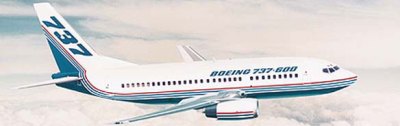 Cristi Borcea isi ia avion!