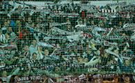 25 de lei, cel mai ieftin abonament la Rapid!