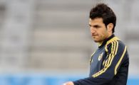 Fabregas:â€Vreau sa joc cu Olanda lui Van Persie!"