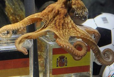 
	Caracatita Paul a avut dreptate in toate predictiile facute la Mondial! Ce va prezice vineri?
