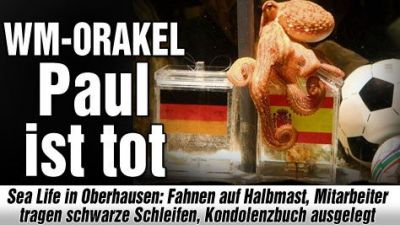 
	Caracatita Paul care a ghicit toate predictiile de la Mondiale a MURIT!!! 
