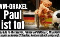 
	Caracatita Paul care a ghicit toate predictiile de la Mondiale a MURIT!!! 
