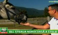 
	Gigi l-a facut pe Olaroiu sa-si incalce cuvantul dat jucatorilor! Vezi ce promisiune a facut si de ce Dica nu trebuia sa plece!
