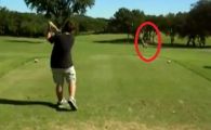 Senzational! Un jucator de golf a trimis mingea in capul unui cerb :)