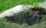 Becali a rezolvat problema ierbii: a adus aparatura cu care transforma National Arena in Nou Camp sau San Siro: "Jucam toate meciurile aici"