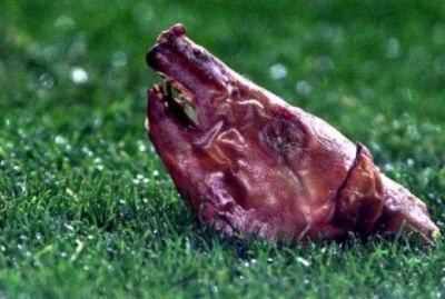 8 imagini din El Clasico pe care nu ai voie sa nu le stii: Ronaldinho MUSCA din tricoul Realului in 2008
8 imagini din El Clasico pe care nu ai voie sa nu le stii: Ronaldinho MUSCA din tricoul Realului in 2008