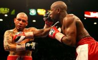 
	VIDEO FENOMENAL! Mayweather l-a devastat pe Cotto si a castigat super lupta de 60 de milioane de dolari!
