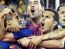 
	Catalanii au mai primit o veste buna! 3 jucatori sunt in echipa ideala din Spania! Vezi cum arata primul "11" OFICIAL al UEFA si cine este antrenorul surpriza:
