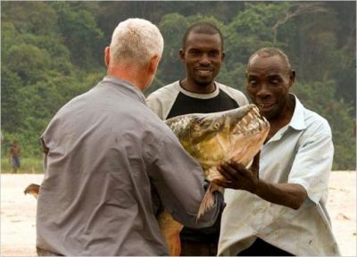 MONSTRUL care terorizeaza apele din Africa! Ce au descoperit savantii: MUTATIA GENETICA ce il face sa prinda 95% din prada! FOTO
MONSTRUL care terorizeaza apele din Africa! Ce au descoperit savantii: MUTATIA GENETICA ce il face sa prinda 95% din prada! FOTO