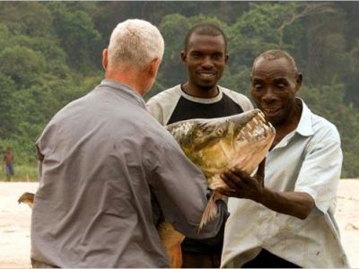 MONSTRUL care terorizeaza apele din Africa! Ce au descoperit savantii: MUTATIA GENETICA ce il face sa prinda 95% din prada! FOTO
MONSTRUL care terorizeaza apele din Africa! Ce au descoperit savantii: MUTATIA GENETICA ce il face sa prinda 95% din prada! FOTO