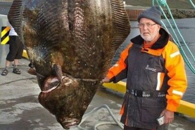 	Un pescar a prins MONSTRUL apelor din Islanda: E de trei ori mai mare decat un om! Abia intra in poza: