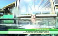 Monstrul Klitschko se retrage la Jocurile Olimpice! Visul suprem al campionului dupa ce si-a distrus toti adversarii