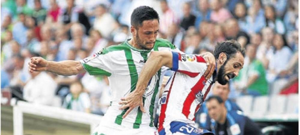 declaratia-superba-in-spania-despre-flor