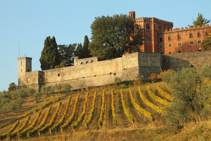 
	Acestea sunt cele mai bune vinuri italiene. Le recomanda cel mai mare somelier din peninsula
