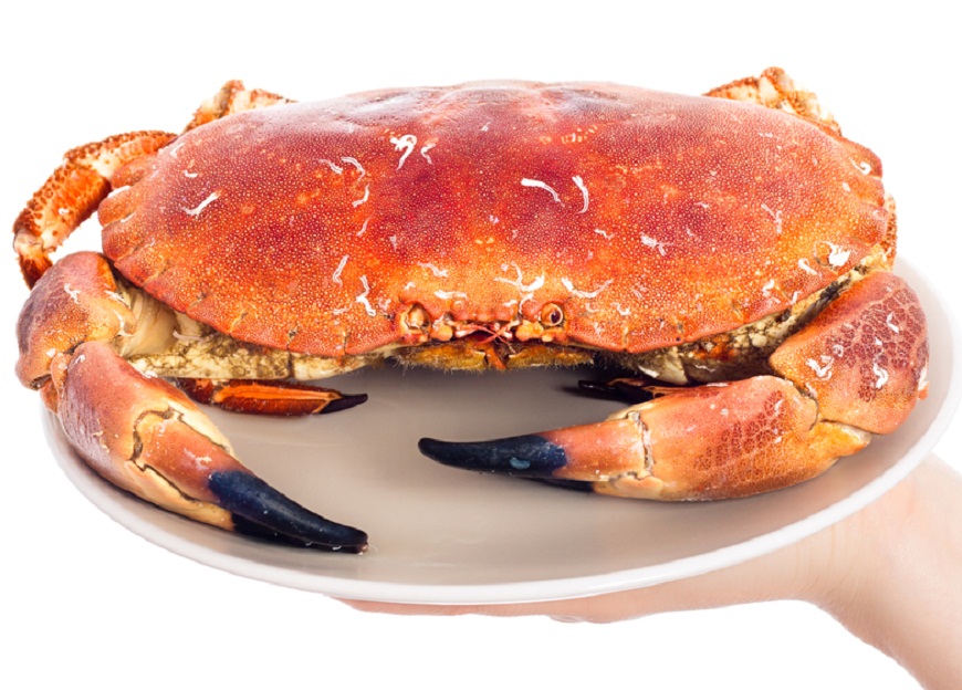 verb heat Skepticism Bunele maniere la masa. Cum se mananca crabii | FoodStory | StirileProTV.ro
